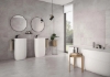 Picture of Roca - Jewels 24 x 48 Etienne Gray Polished discod