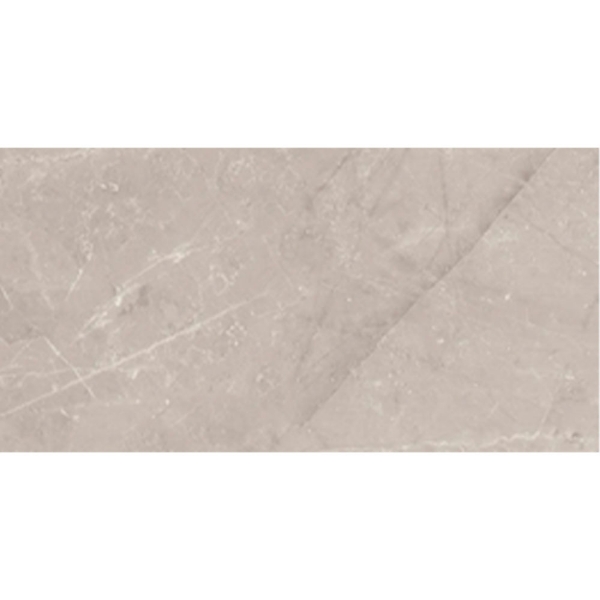 Picture of Roca - Jewels 24 x 48 Etienne Gray Matte discod
