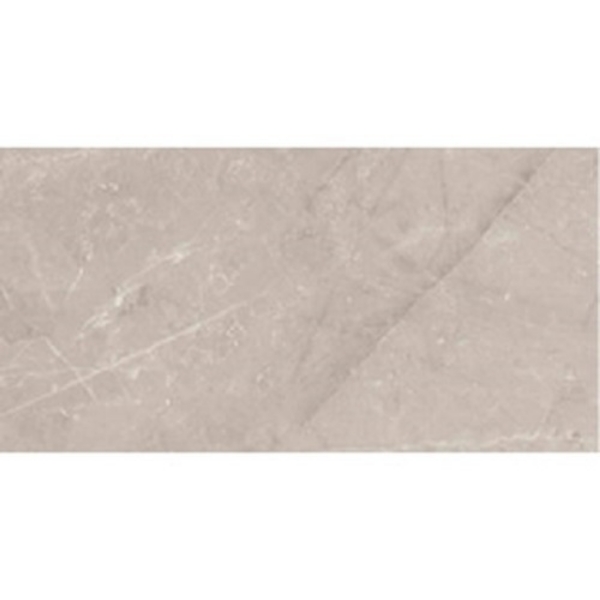 Picture of Roca - Jewels 24 x 48 Etienne Gray Matte