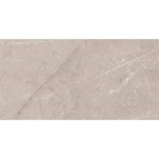 Picture of Roca - Jewels 24 x 48 Etienne Gray Polished