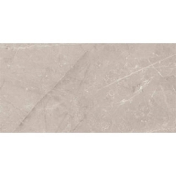 Picture of Roca - Jewels 24 x 48 Etienne Gray Polished