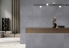 Picture of Roca - Liverpool 24 x 48 Polished Cinza