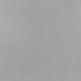 Picture of Roca - Pro 24 x 24 Matte Concrete