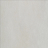 Picture of Roca - Pro 21 x 21 Matte Cement