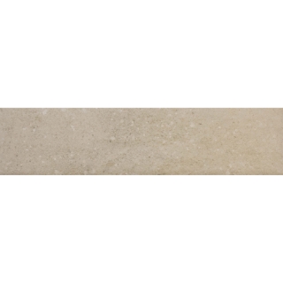 Picture of Roca - Pro 3 X 12 Matte Nude