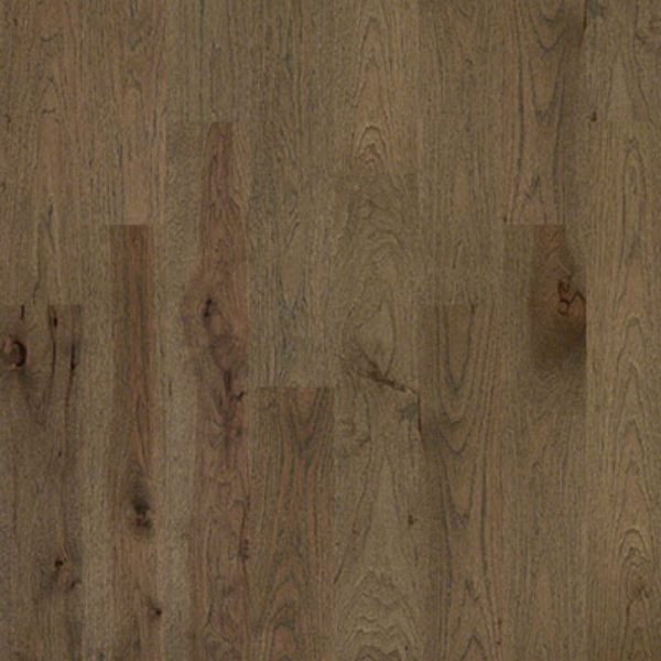 Picture of Shaw Floors - Castlewood Hickory Romanesque