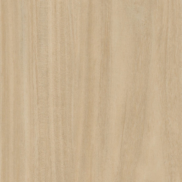 Picture of Patcraft - Treeline Acoustic Cream V2