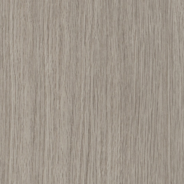 Picture of Patcraft - Treeline Acoustic Moonlight V2