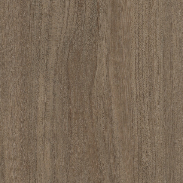 Picture of Patcraft - Treeline Acoustic Rune V2