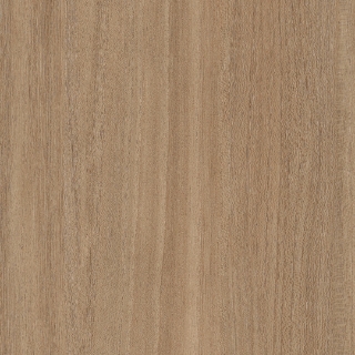 Picture of Patcraft - Treeline Acoustic Camel V2