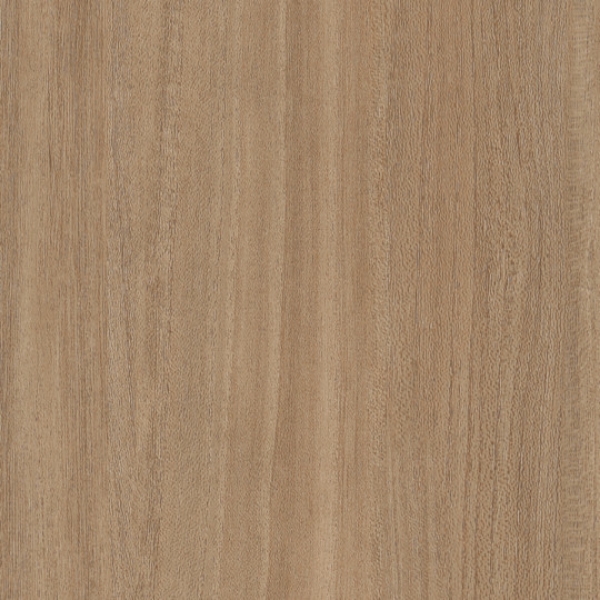 Picture of Patcraft - Treeline Acoustic Camel V2
