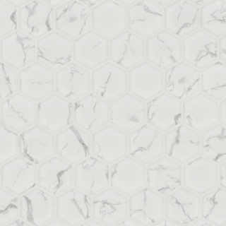 Picture of MS International - Porcelain Mosaics Carrara Matte Hexagon