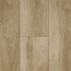 Picture of Audacity - Liberty Sandpoint