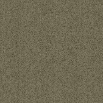 Picture of Patcraft - Color Choice Lichen