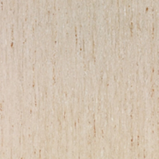 Picture of Tarkett - IQ Optima 12 x 24 Frothy Latte