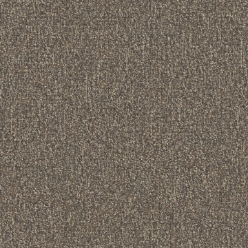 Picture of Patcraft - Homeroom V3 Final Exam