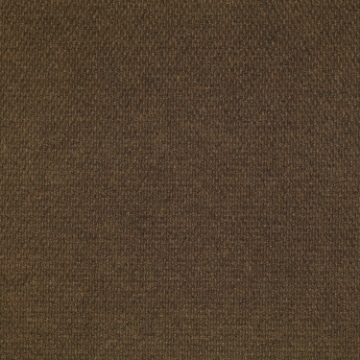 Picture of Patcraft - Walk Right In II Tobacco