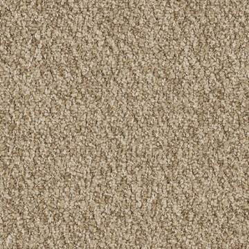 Picture of Patcraft - Socrates II Descarte