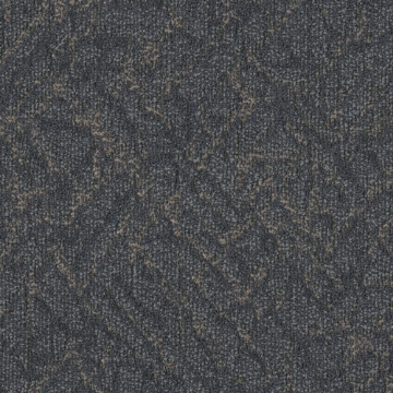 Picture of Patcraft - Texture Slant Segment