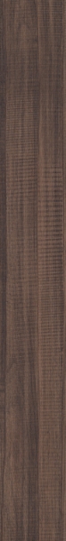 Picture of Patcraft - Timber Grove II 12MIL Trellis V3