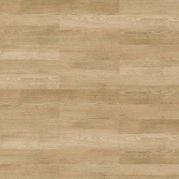 Picture of Patcraft - Timber Grove II 20MIL Sprout