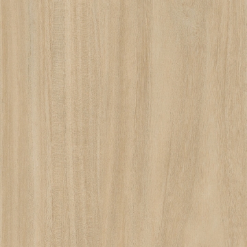 Picture of Patcraft - Treeline Acoustic Cream V2