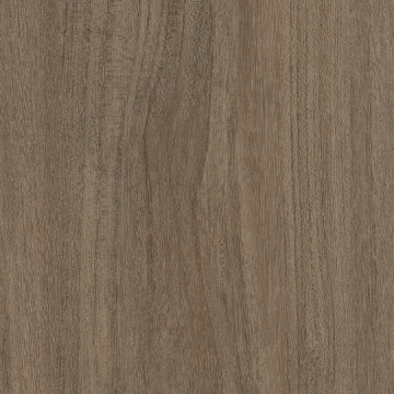 Picture of Patcraft - Treeline Acoustic Rune V2