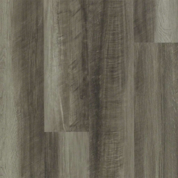 Picture of Shaw Floors - Endura Plus Oyster Oak
