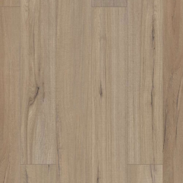 Picture of Shaw Floors - Polaris Plus Driftwood