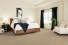 Picture of Shaw Floors - Paladin Plus Oceanfront