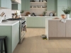 Picture of Shaw Floors - Paladin Plus Oceanfront