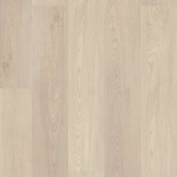 Picture of Shaw Floors - Endura Plus Silver Dollar