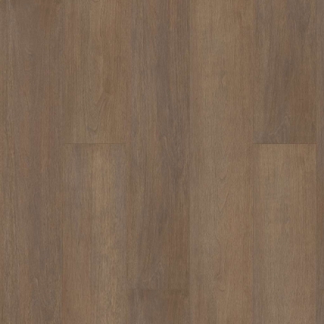 Picture of Shaw Floors - Paragon HD Plus Natural Bevel Gable