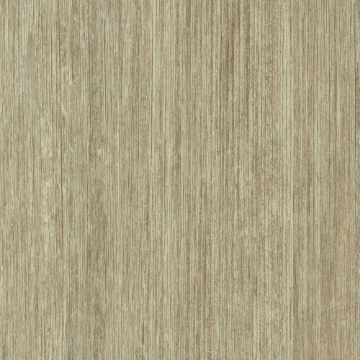 Picture of Shaw Floors - QH Downtown USA 20mil Peachtree Street