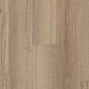 Picture of Shaw Floors - Optimum 512C Plus Driftwood