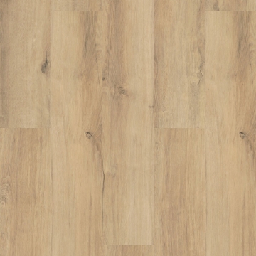 Picture of Shaw Floors - Optimum 512C Plus Marina