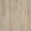 Picture of Shaw Floors - Paladin Plus Soft Beige