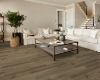 Picture of Shaw Floors - Polaris Plus Wild Dunes