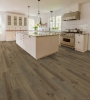 Picture of Shaw Floors - Polaris Plus Wild Dunes