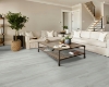 Picture of Shaw Floors - Polaris Plus Feather Grey