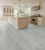 Picture of Shaw Floors - Polaris Plus Feather Grey