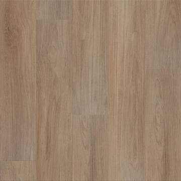 Picture of Shaw Floors - Prominence Plus Hazelnut Brown
