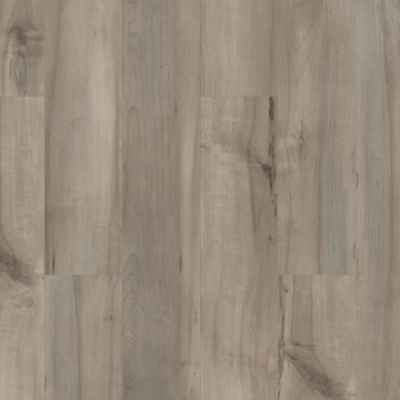 Picture of Shaw Floors - Paladin Plus Sea Glass