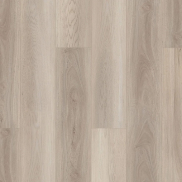 Picture of Shaw Floors - Paladin Plus Lighthouse
