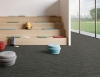 Picture of Shaw Floors - Ground Branch
