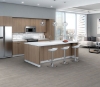 Picture of Philadelphia Commercial by Shaw - Ardent Clean Pine