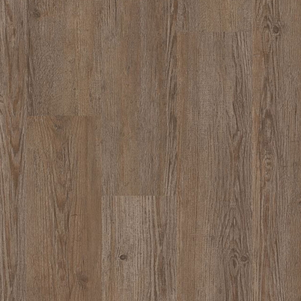 Picture of Philadelphia Commercial by Shaw - Bosk Tundra