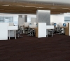 Picture of Philadelphia Commercial by Shaw - Bosk Pro 6 Afromosia