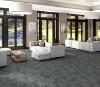 Picture of Philadelphia Commercial by Shaw - Burnished Titanium
