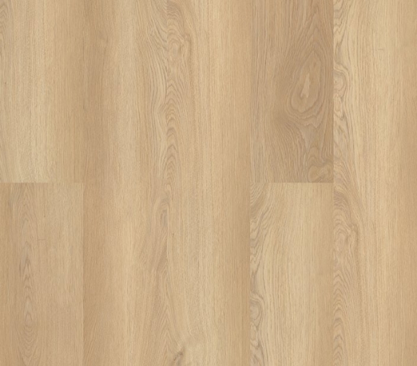 Picture of Philadelphia Commercial by Shaw - Fortitude White Sand